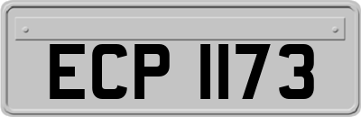 ECP1173
