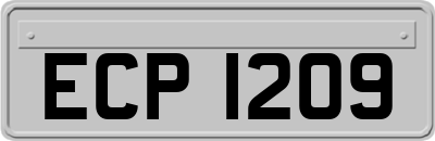 ECP1209