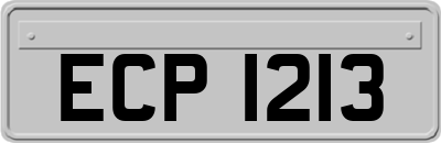 ECP1213