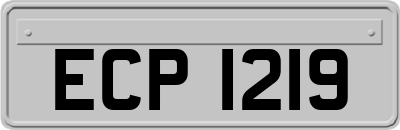 ECP1219