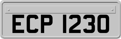 ECP1230
