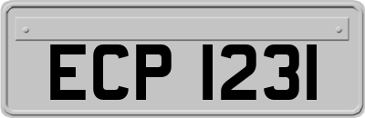 ECP1231