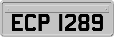 ECP1289