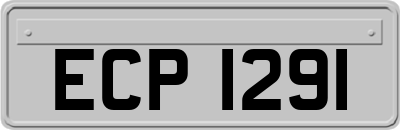 ECP1291