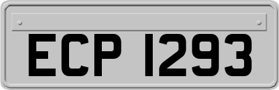 ECP1293