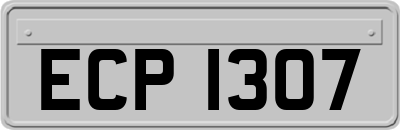 ECP1307