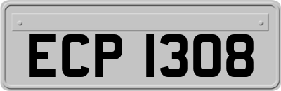 ECP1308