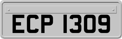 ECP1309