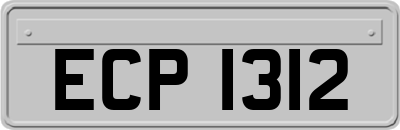 ECP1312