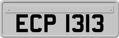 ECP1313