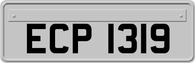 ECP1319