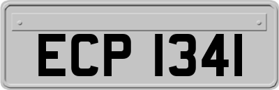 ECP1341