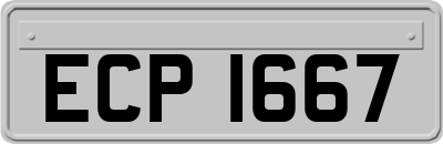 ECP1667