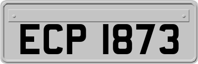 ECP1873