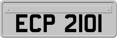 ECP2101