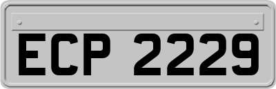 ECP2229