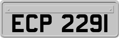 ECP2291