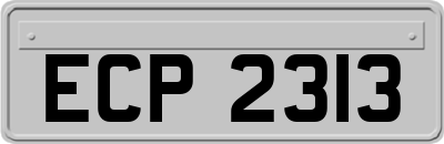 ECP2313