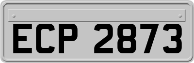 ECP2873