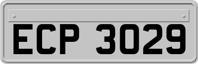 ECP3029