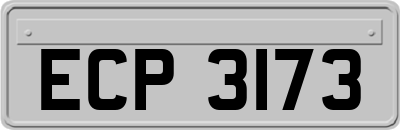 ECP3173