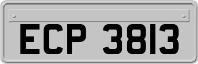 ECP3813