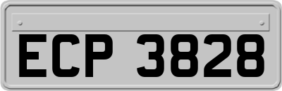 ECP3828
