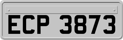 ECP3873