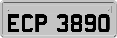 ECP3890