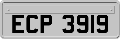 ECP3919