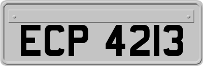 ECP4213