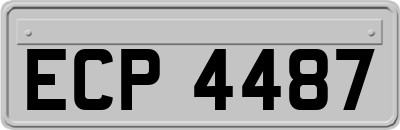 ECP4487