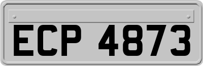 ECP4873