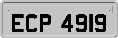 ECP4919
