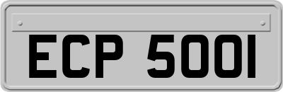 ECP5001