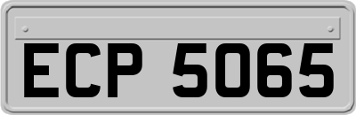 ECP5065