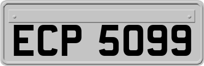 ECP5099