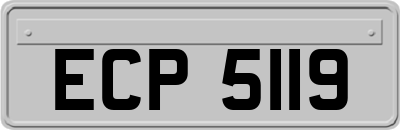 ECP5119
