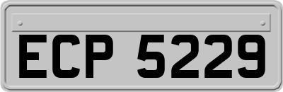 ECP5229
