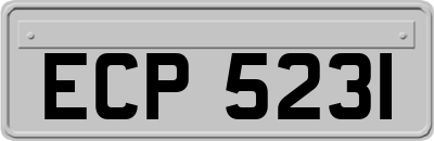 ECP5231