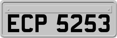 ECP5253