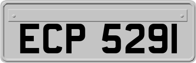 ECP5291