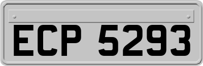 ECP5293