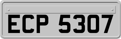 ECP5307