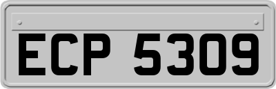 ECP5309