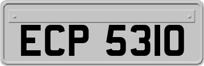 ECP5310
