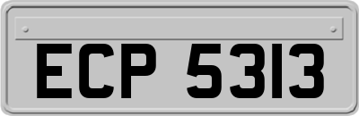 ECP5313