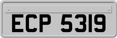 ECP5319