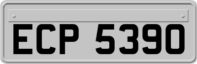 ECP5390