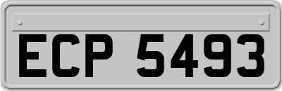 ECP5493